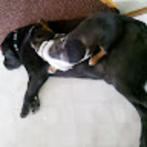 Meet your Posher, Mel